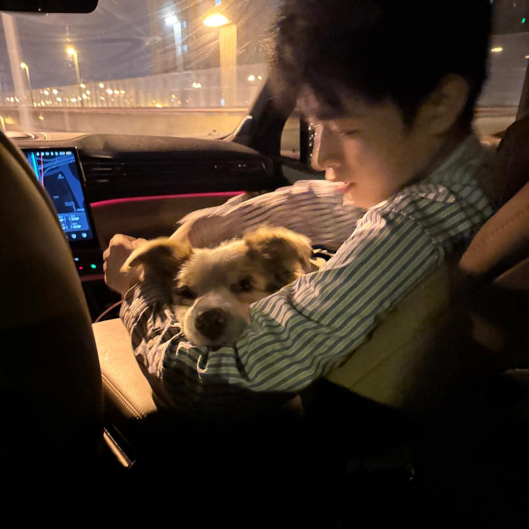 布噜布噜（专注定制化宠物专车）