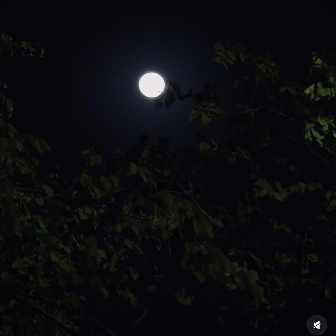 月是故乡明0163