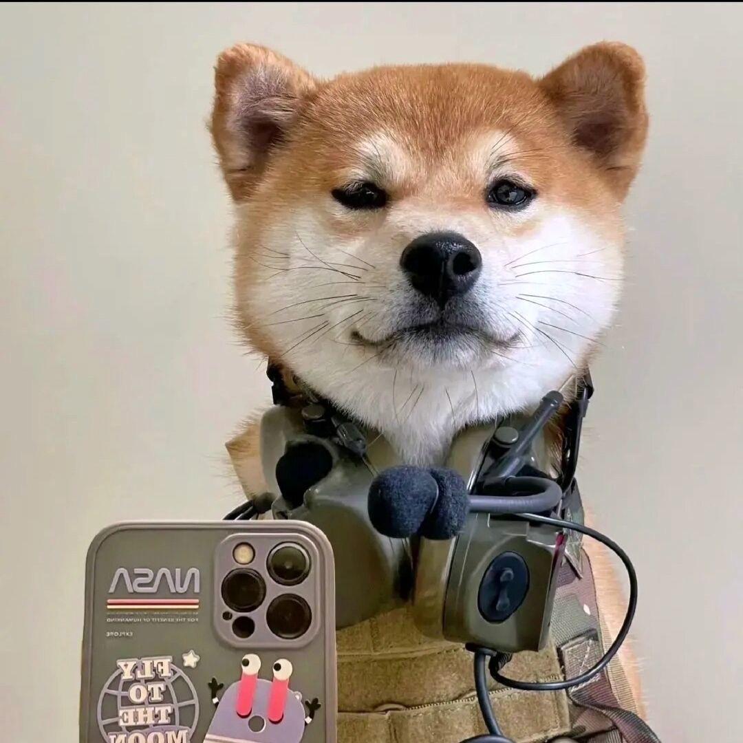 于笙