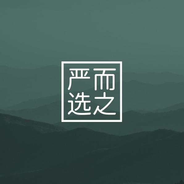严而选之