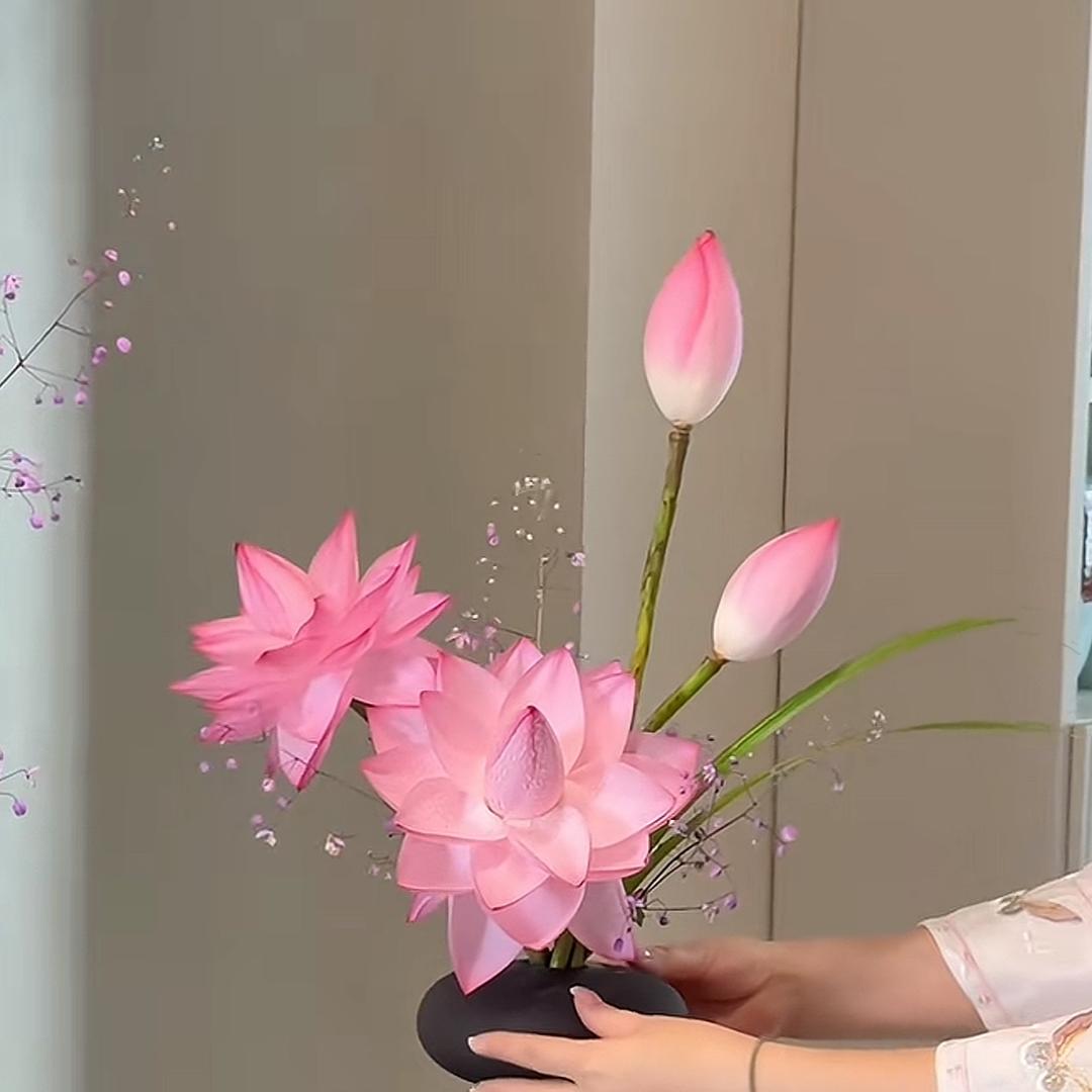 小九儿🌱