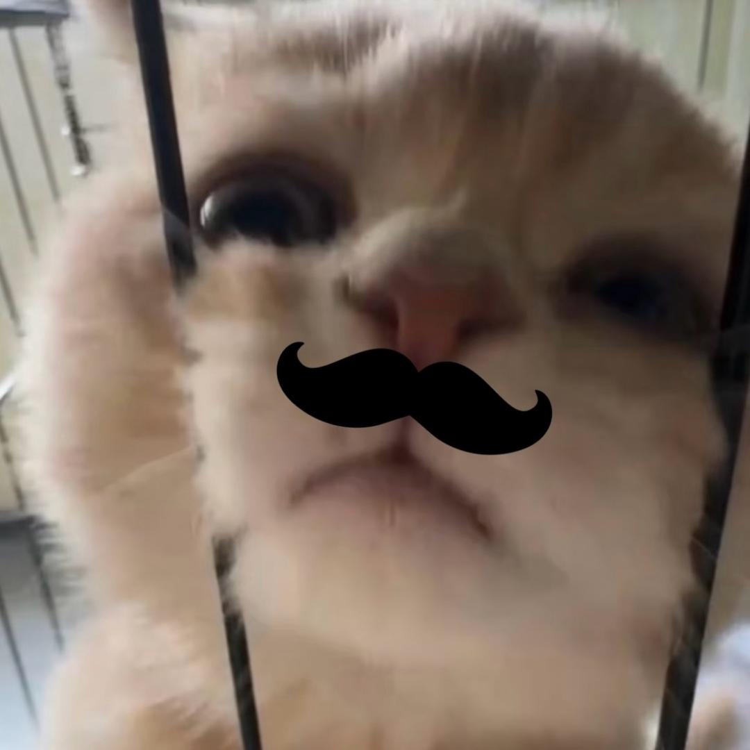 我的拖延症没救了