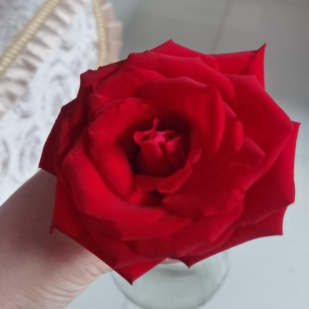 雨后彩虹