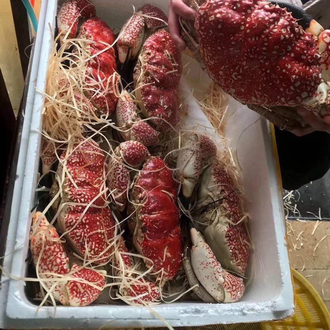 长春南北海鲜精品批发
