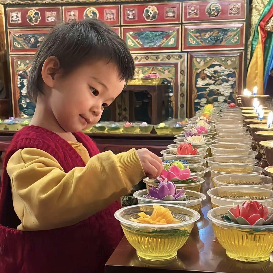 发财图图