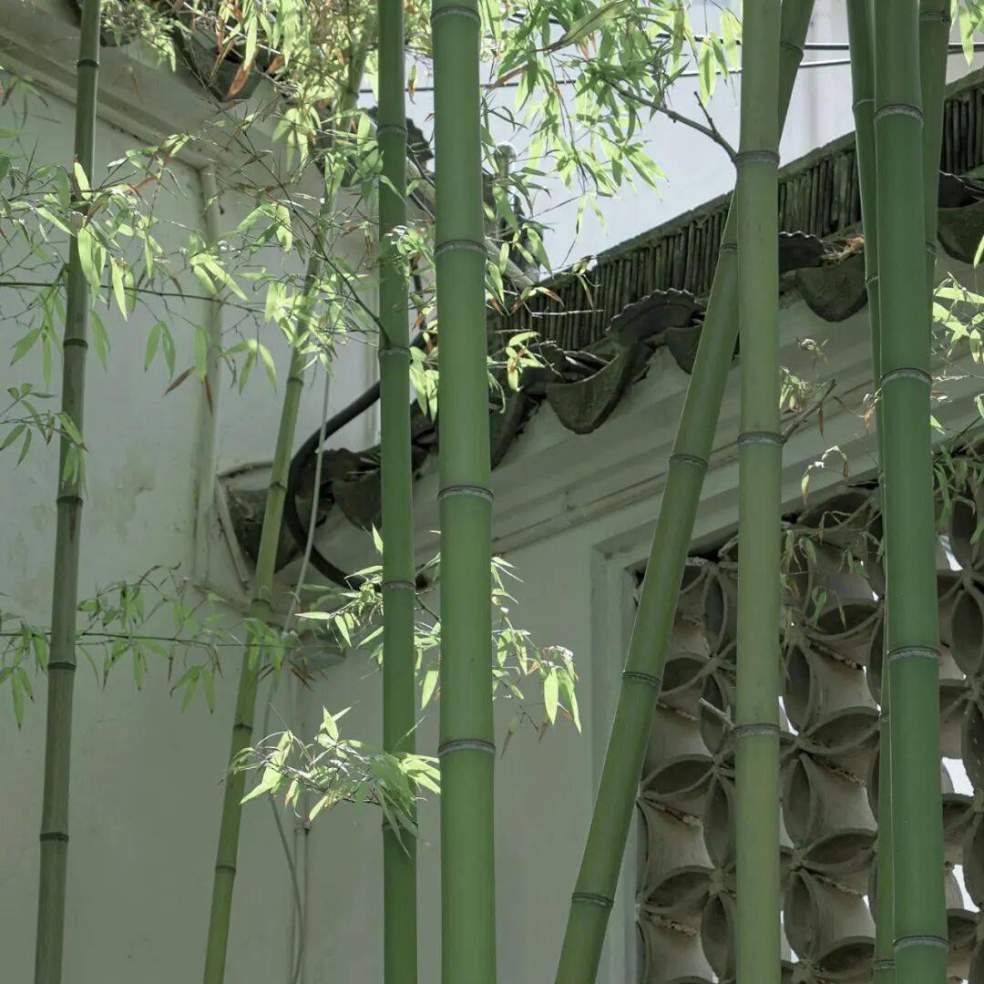 启辰身体护理专营店