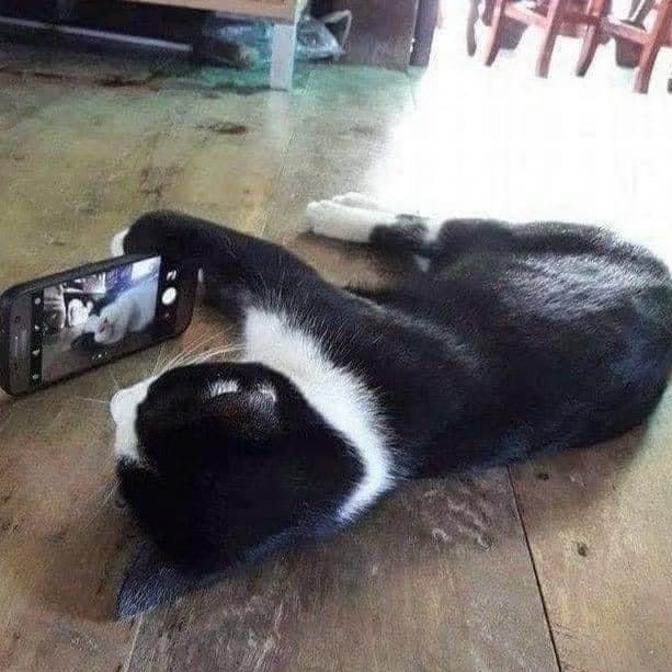 Ooo