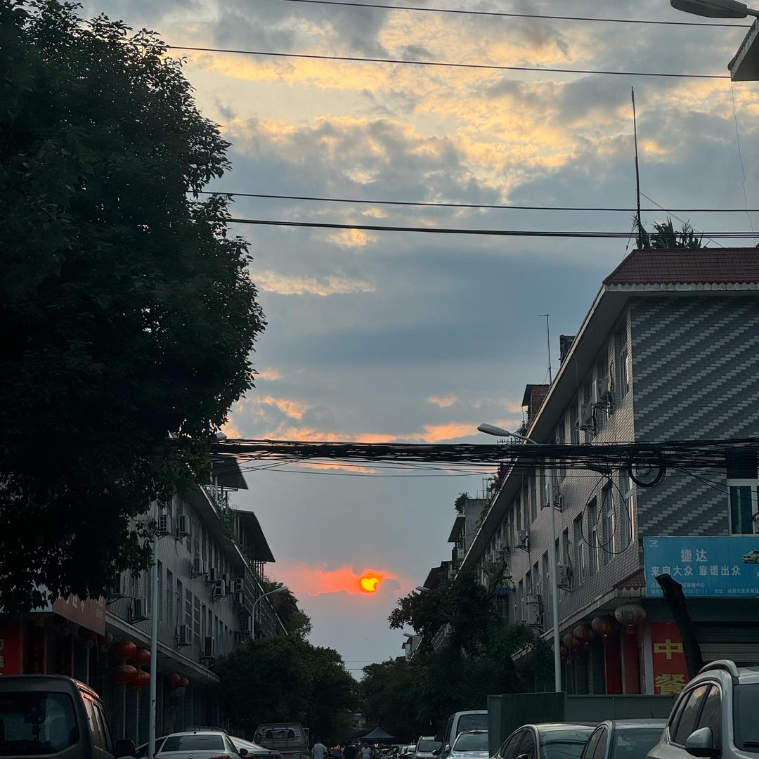 洋洋😶‍🌫️