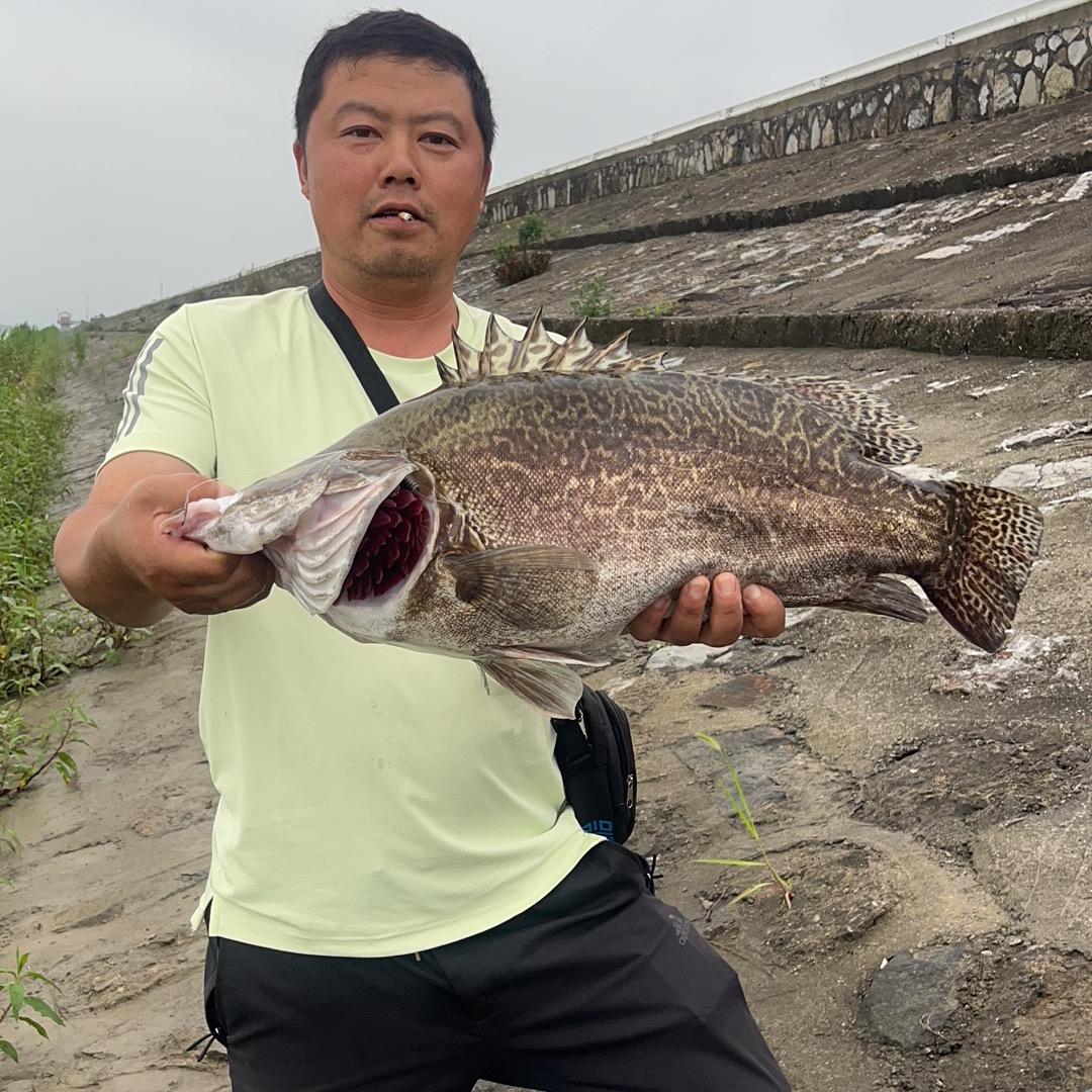 高淳虾盐蟹