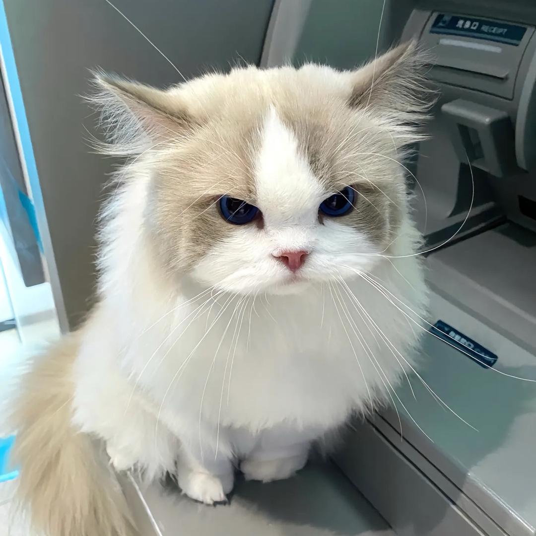 小如yyy