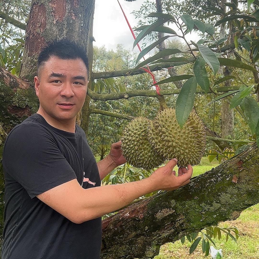 王宏不是网红 车厘子专业户