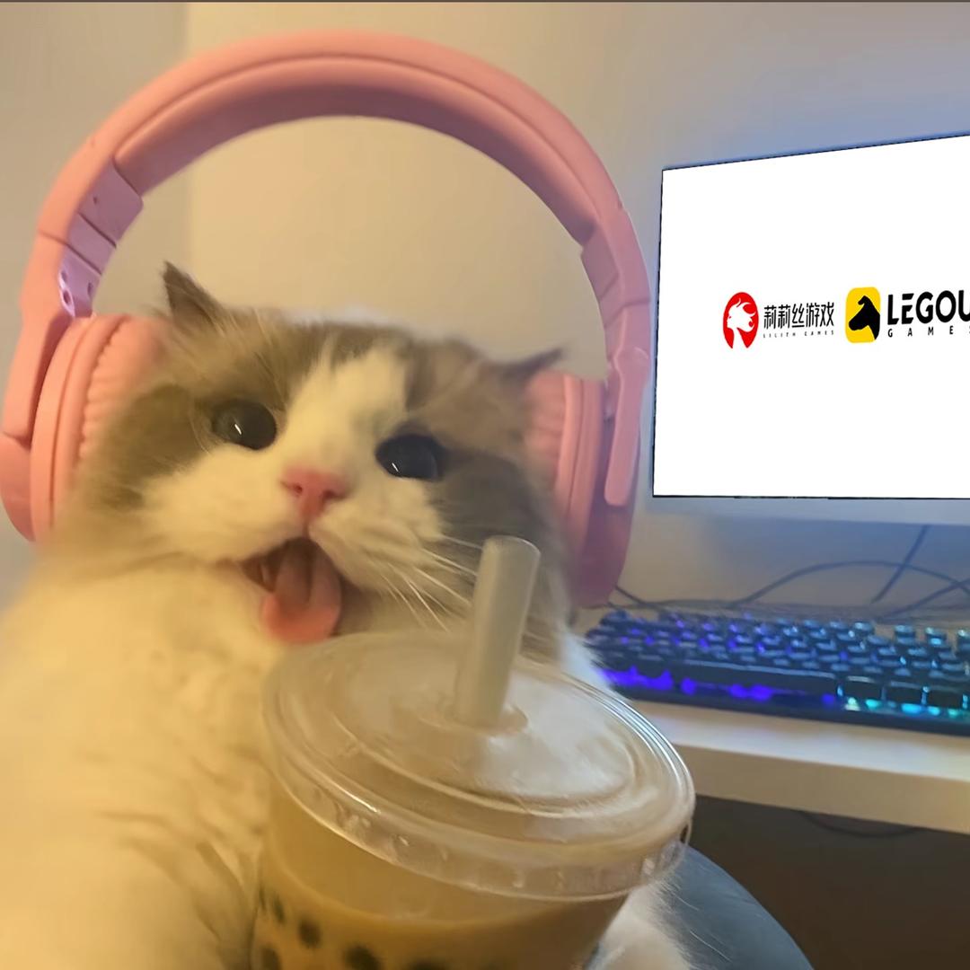 照月