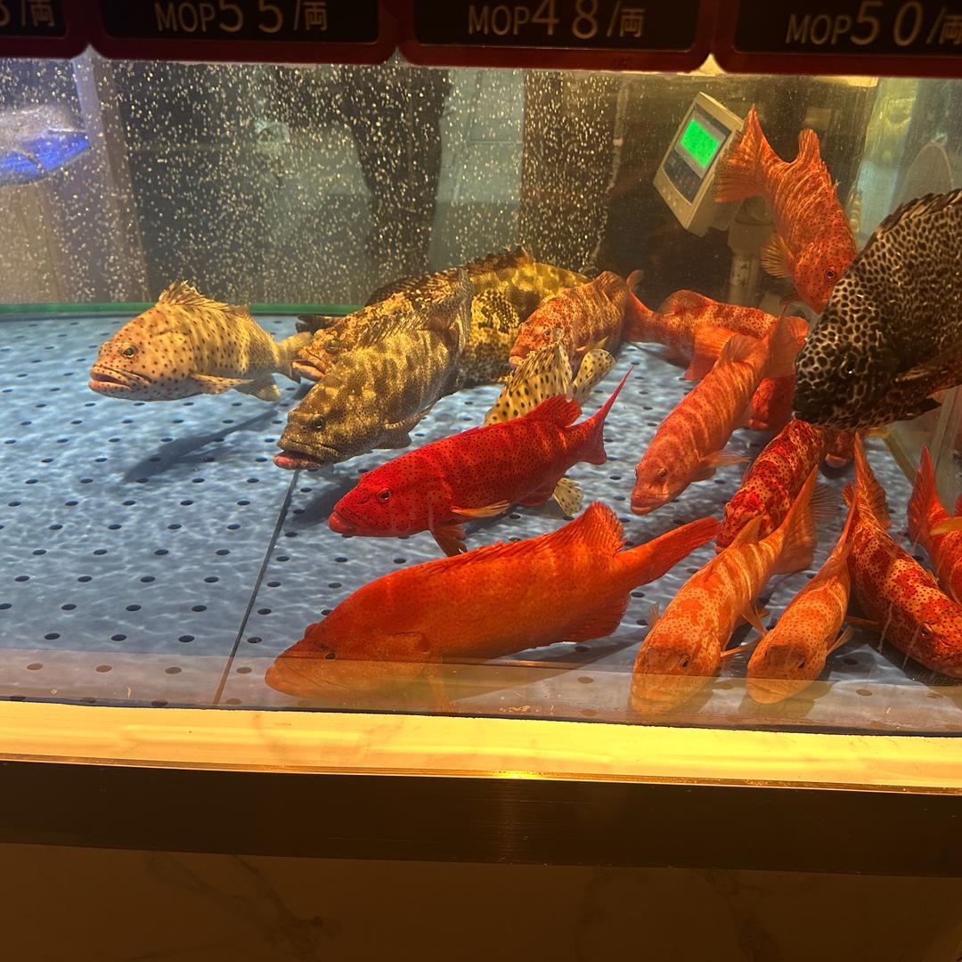 不念过往🏌🏼