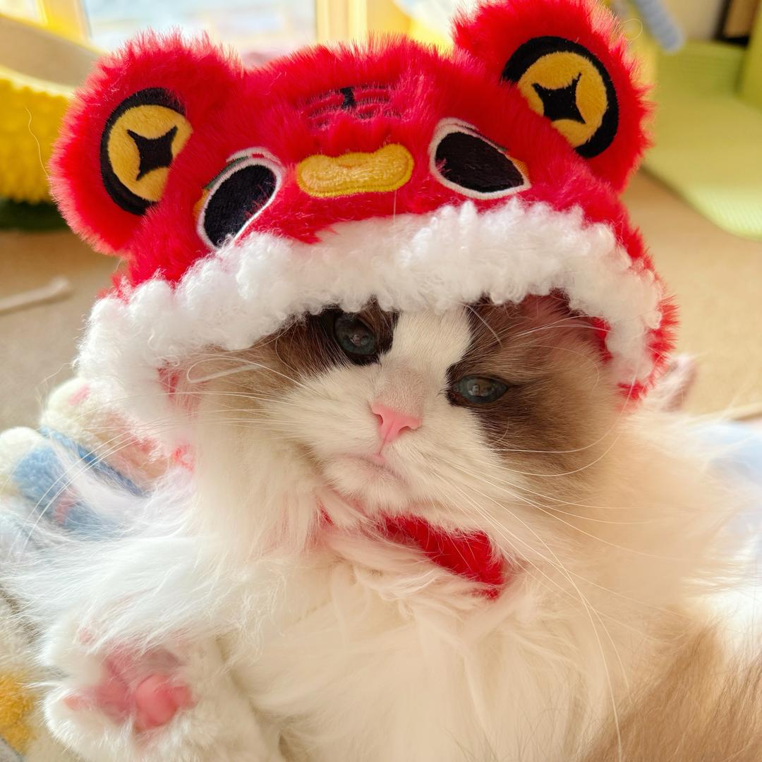臭咪三百块｜🐈
