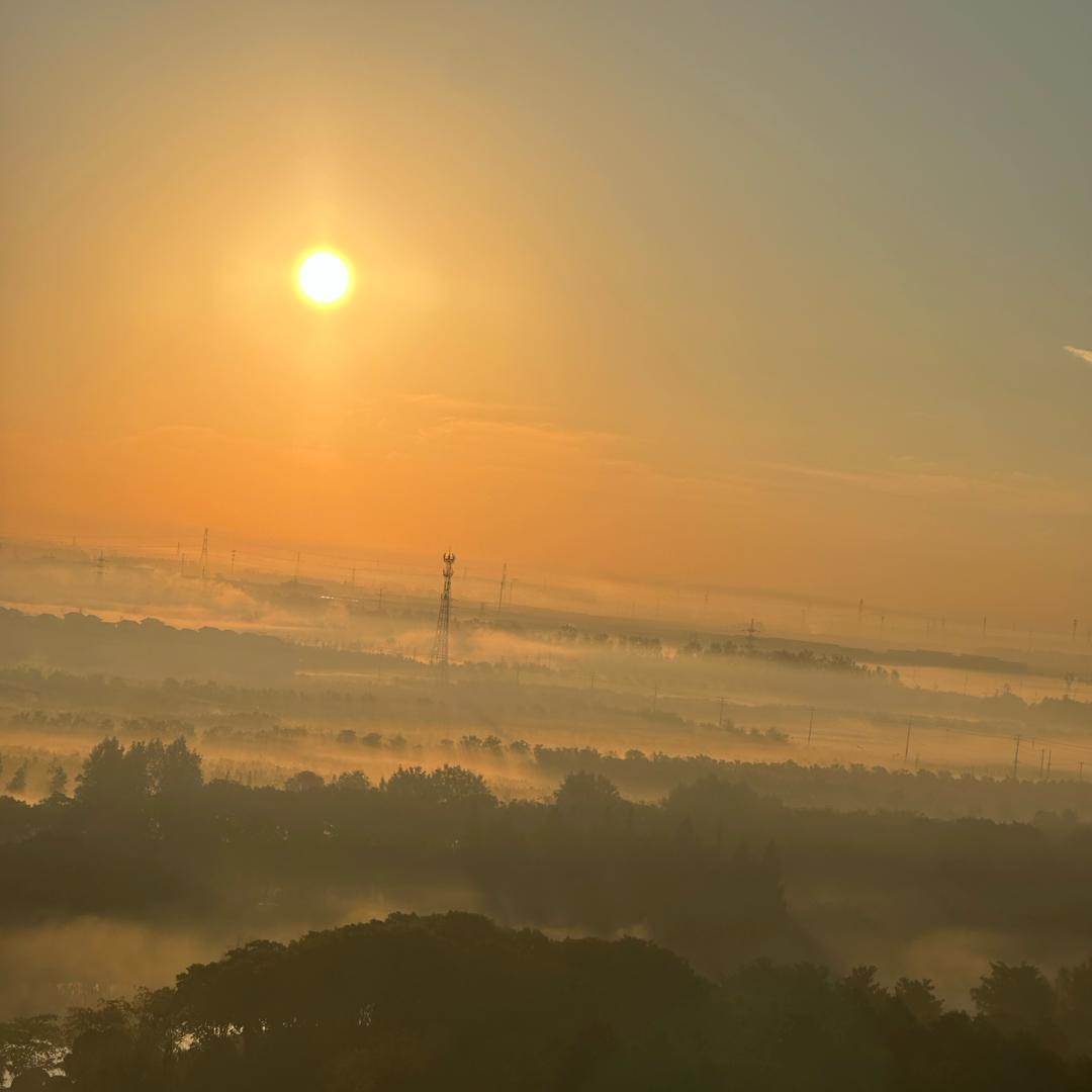 太平大饼