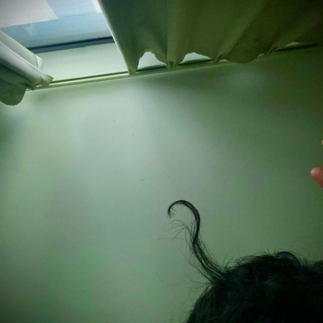 风乘八品（自律版）
