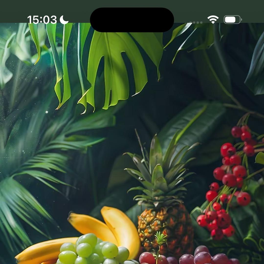 禄财日用优品严选