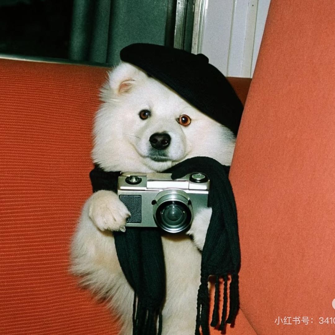 猴子大王📸（常驻天津