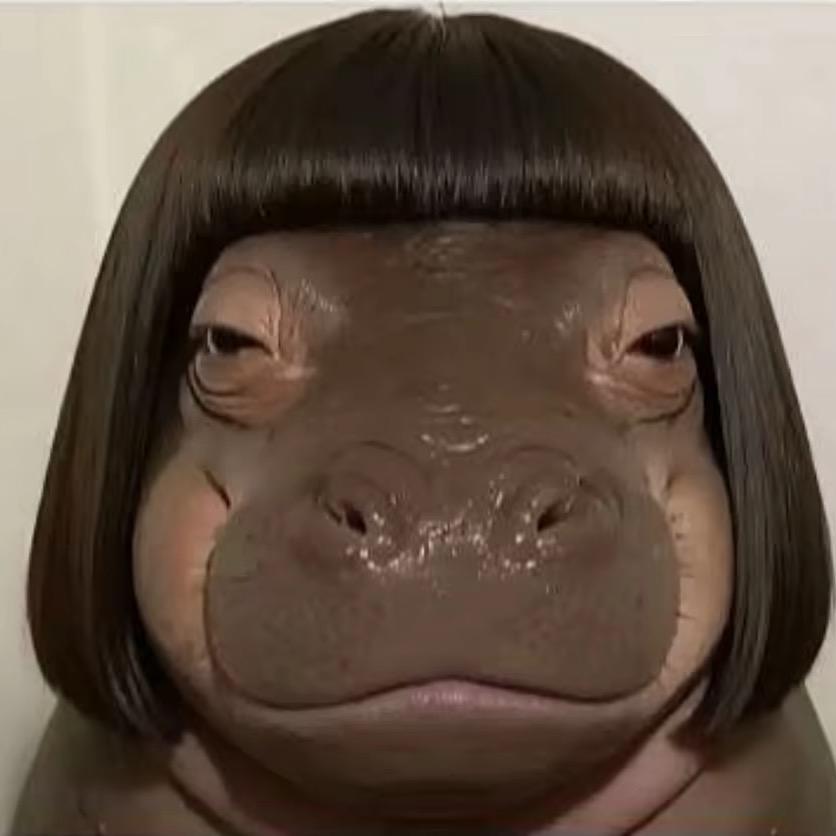 外壳