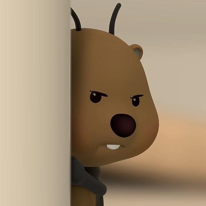 毛毛 🧸