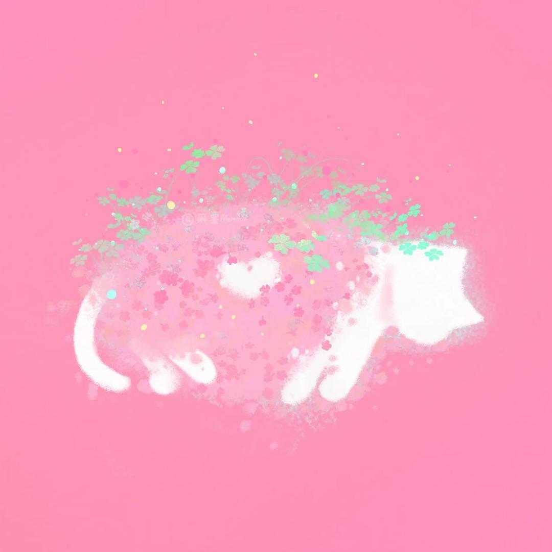 是ccccccy吖
