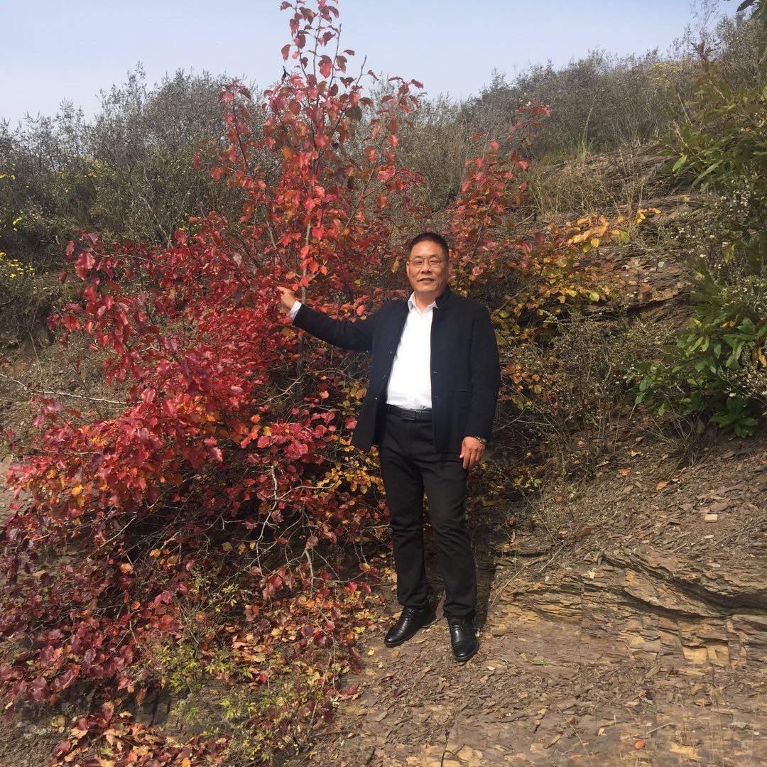 木林森万事如意
