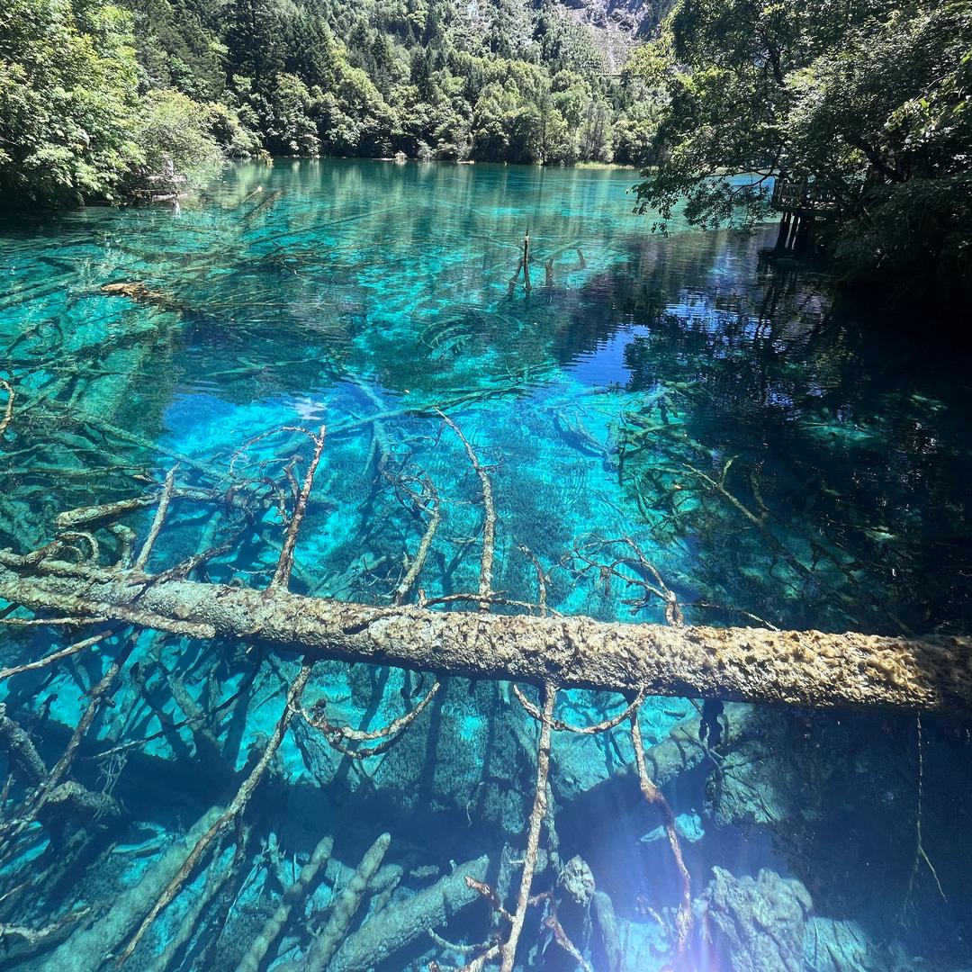 小杨爆爆