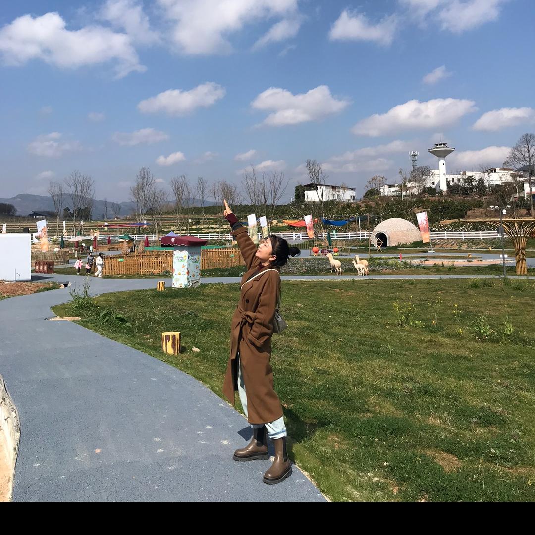 蔷薇