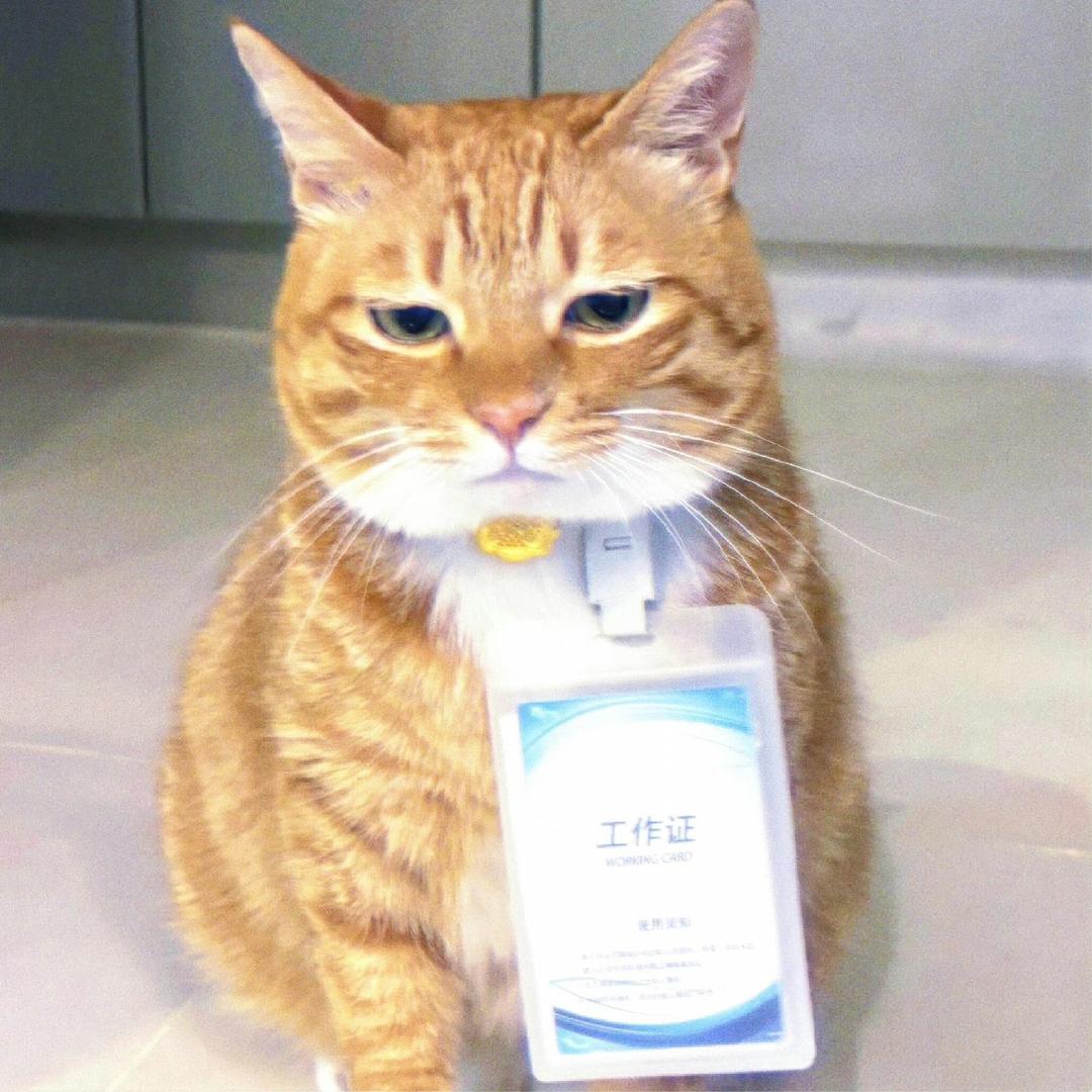 甜啦啦 洲头店