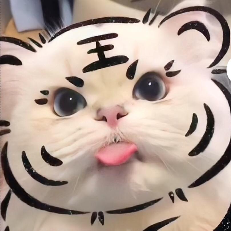 ←↑→＋——猫猫