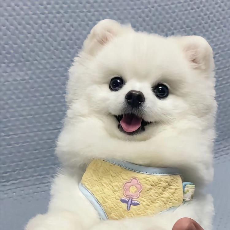 小美严选
