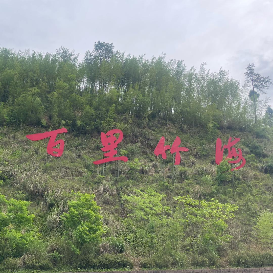 竹海乡货