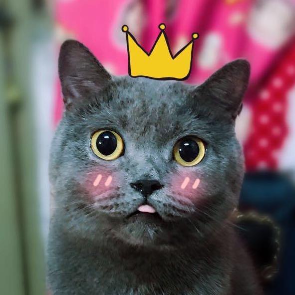 👑刘富贵儿的小王国🐱