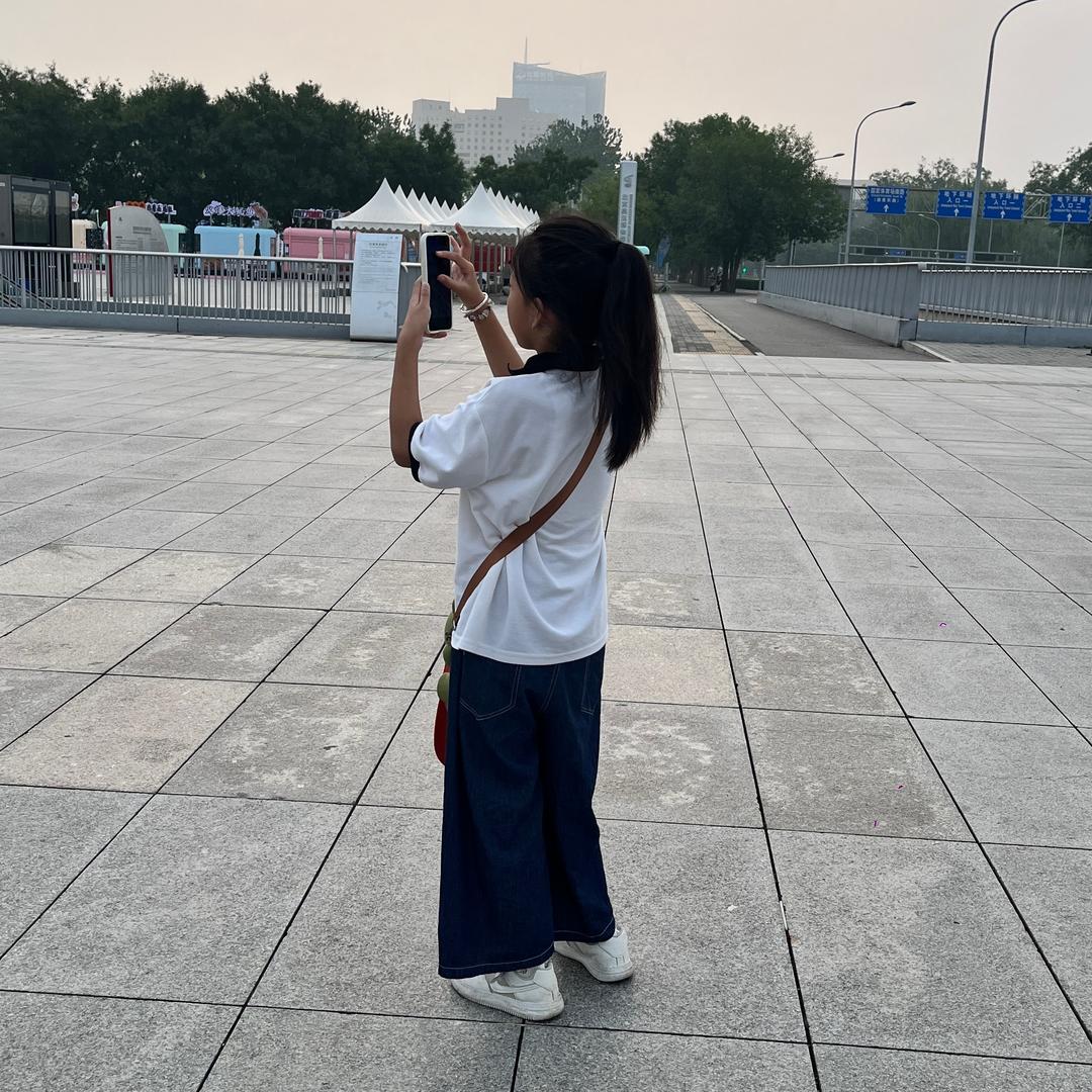 一只叫帆子的猫