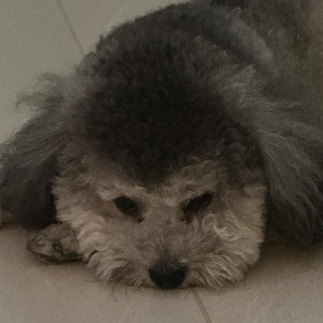 Kiki要加油