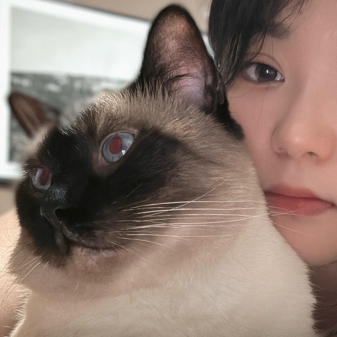 大头头大