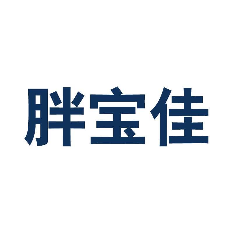 胖宝佳大码男童装
