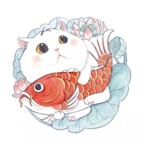 一只晓锦李(Knfire)