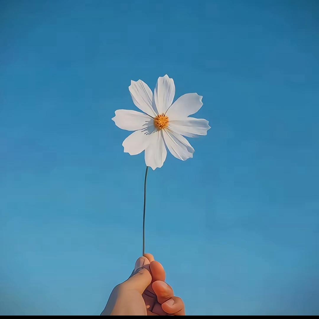 桂R🇨🇳小孔