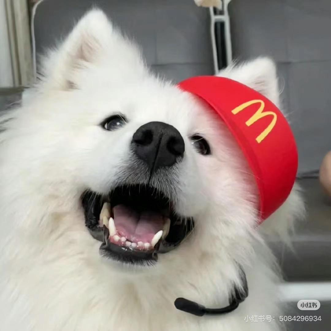 颍上•小妍平价女鞋