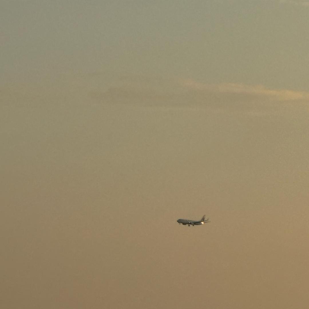 何小白