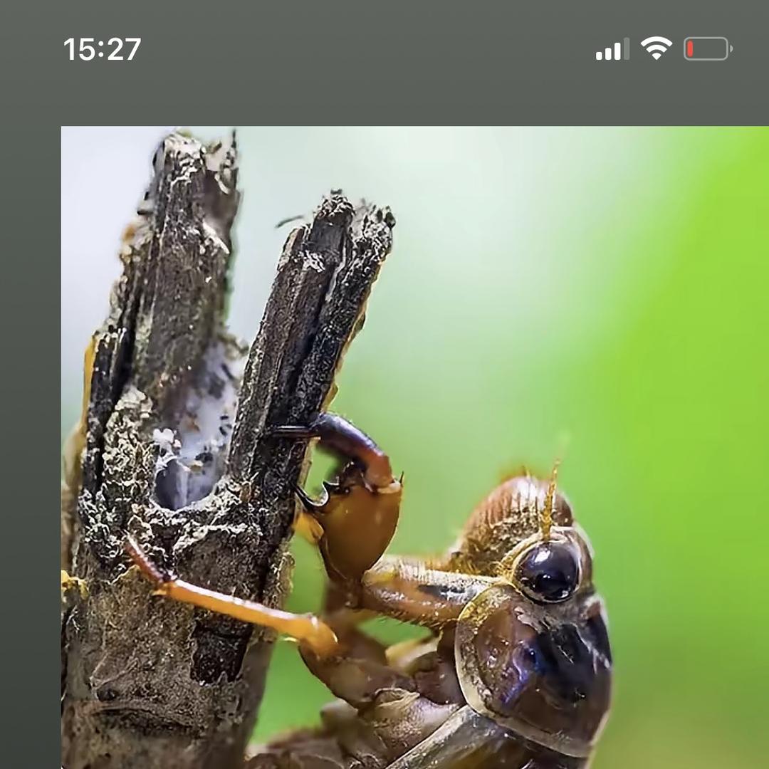 清泉庄稼人