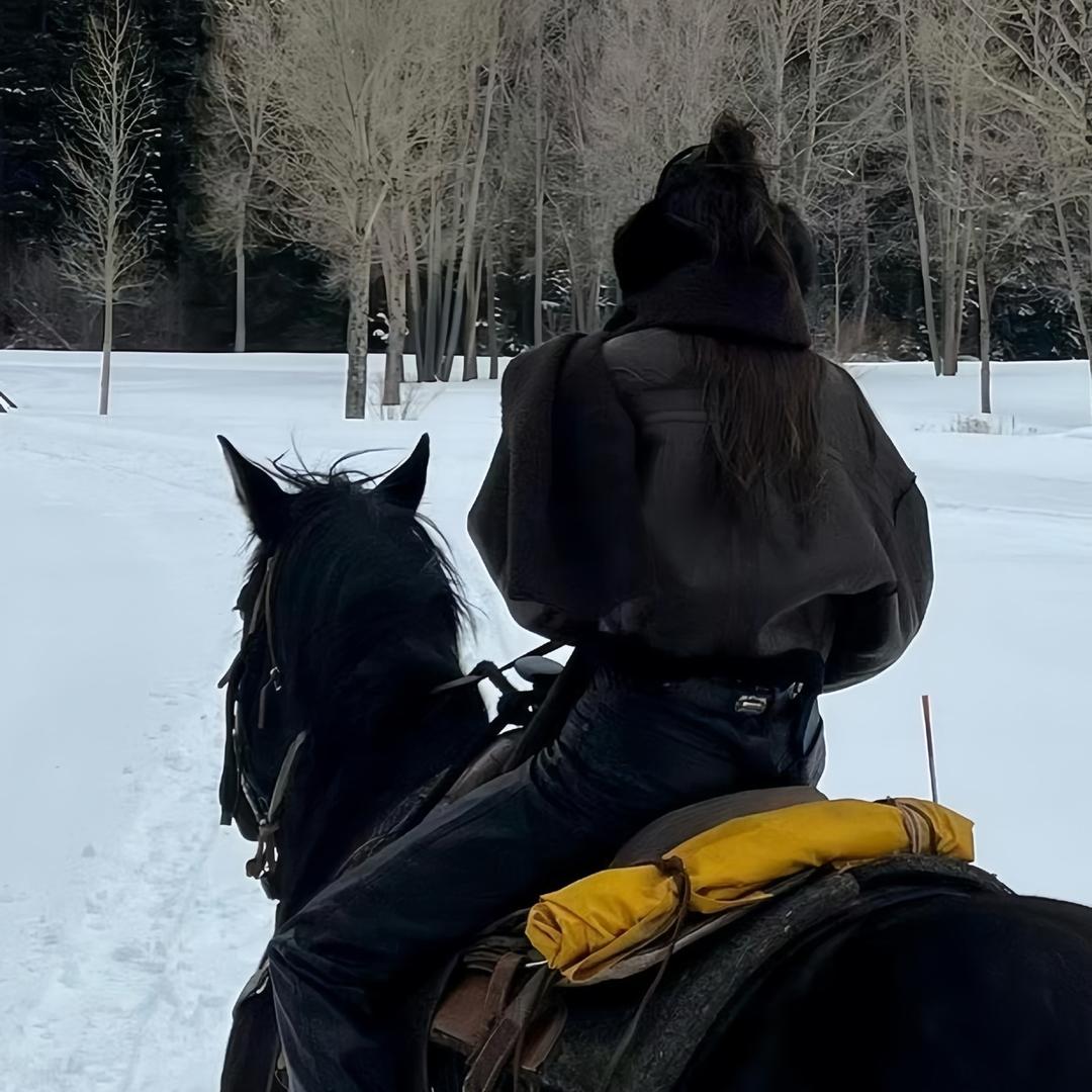 没头脑和不高兴^