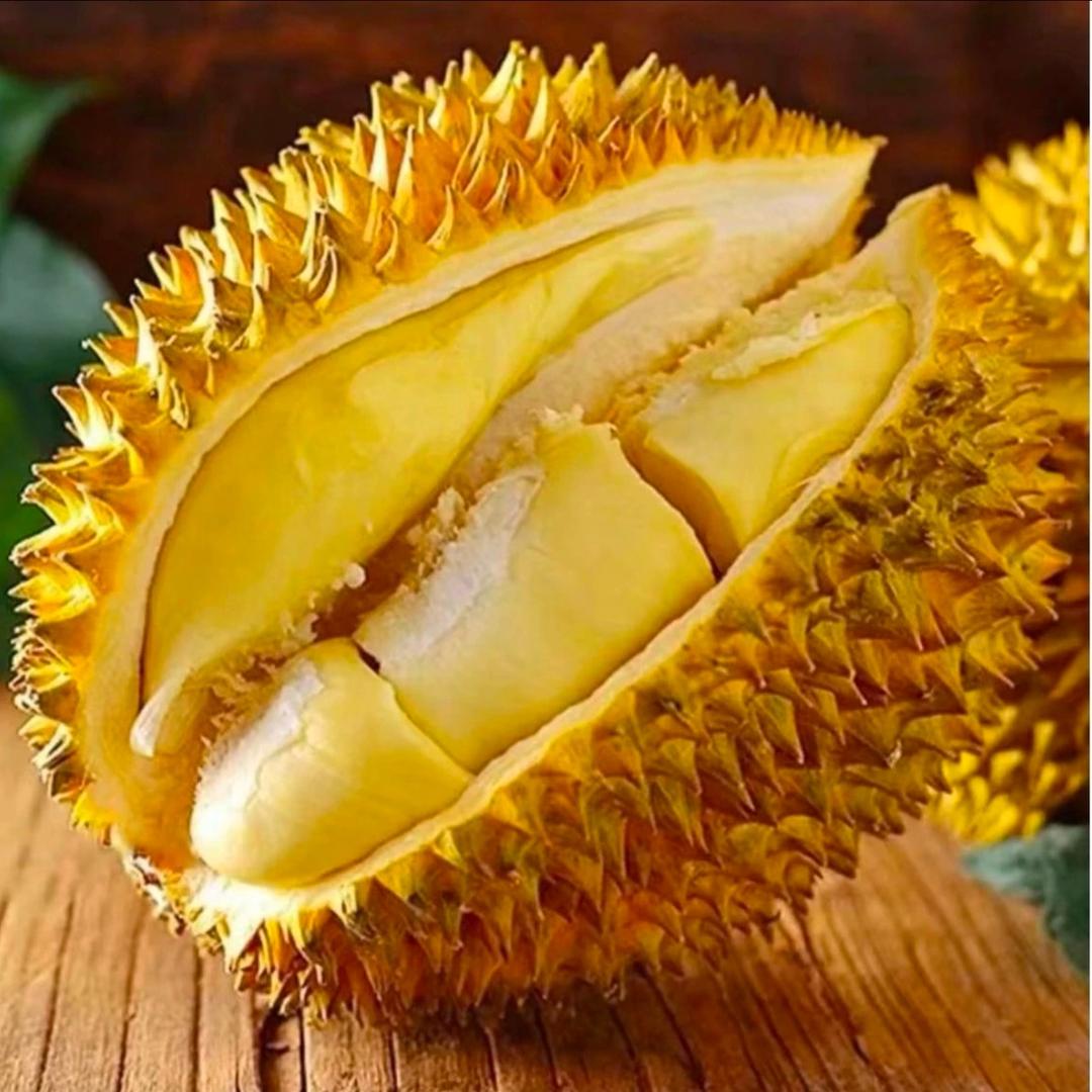 宅鲜集-生鲜连锁