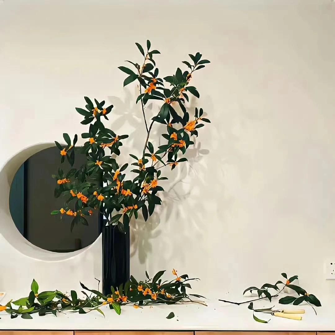 昵称🌱木木🌸🌸