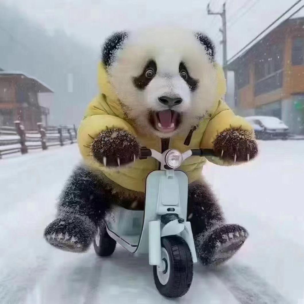 🍮拾光里°不是我🍭🍿