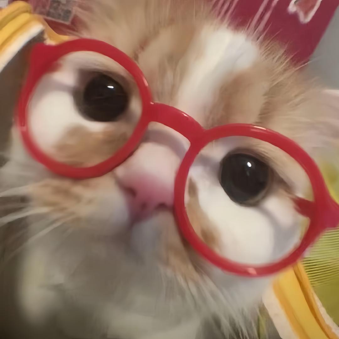 ´◔ ‸◔'