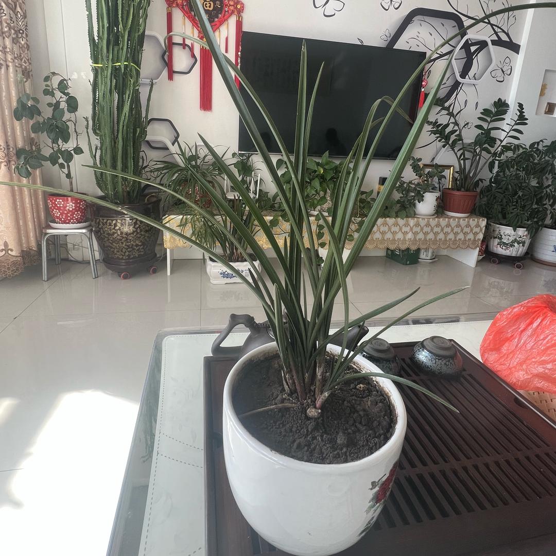 渴望