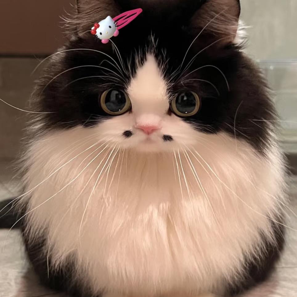 🧚‍♀️仙女不太仙