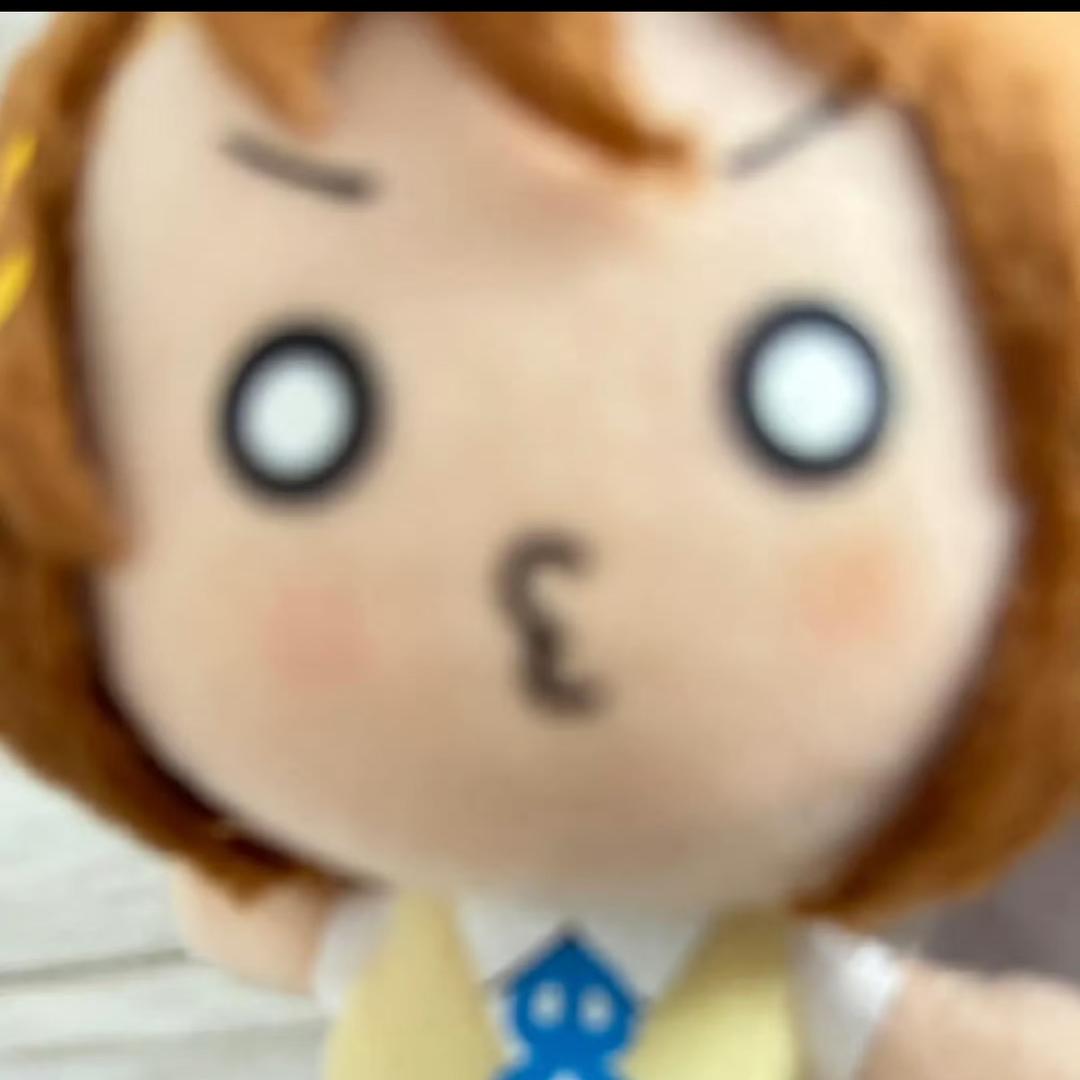 小🐑..